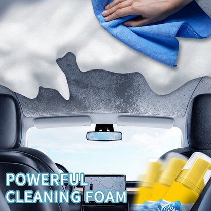 Foam No-Rinse Cleaner