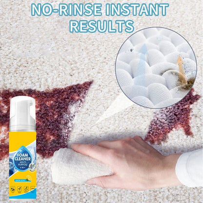 Foam No-Rinse Cleaner